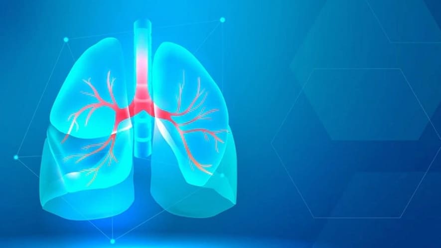 Akciğer Detoksu Nedir ve Nasıl Yapılır? İşte Akciğer Temizleme Yöntemleri