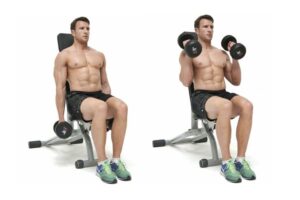 Seated Dumbbell Curl Hareketi Nedir